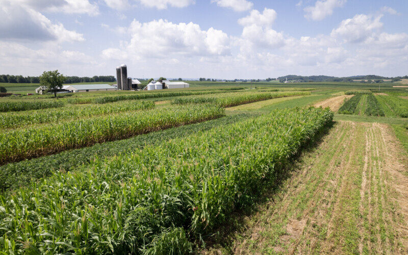 AGRICULTURAL